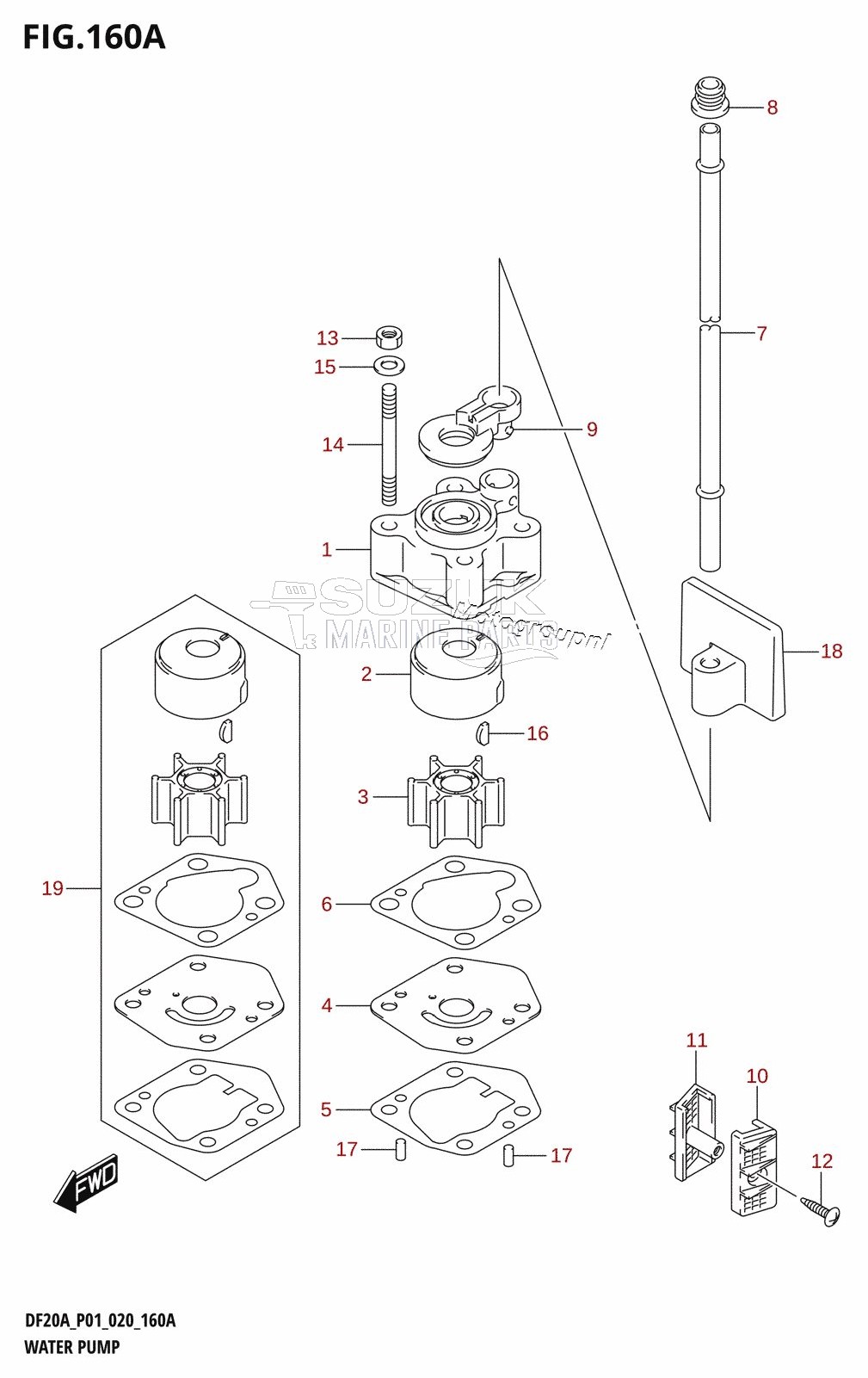 WATER PUMP (P01)