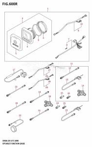 DF50A From 05003F-710001 (E01)  2017 drawing OPT:MULTI FUNCTION GAUGE (DF60AVT:E01)