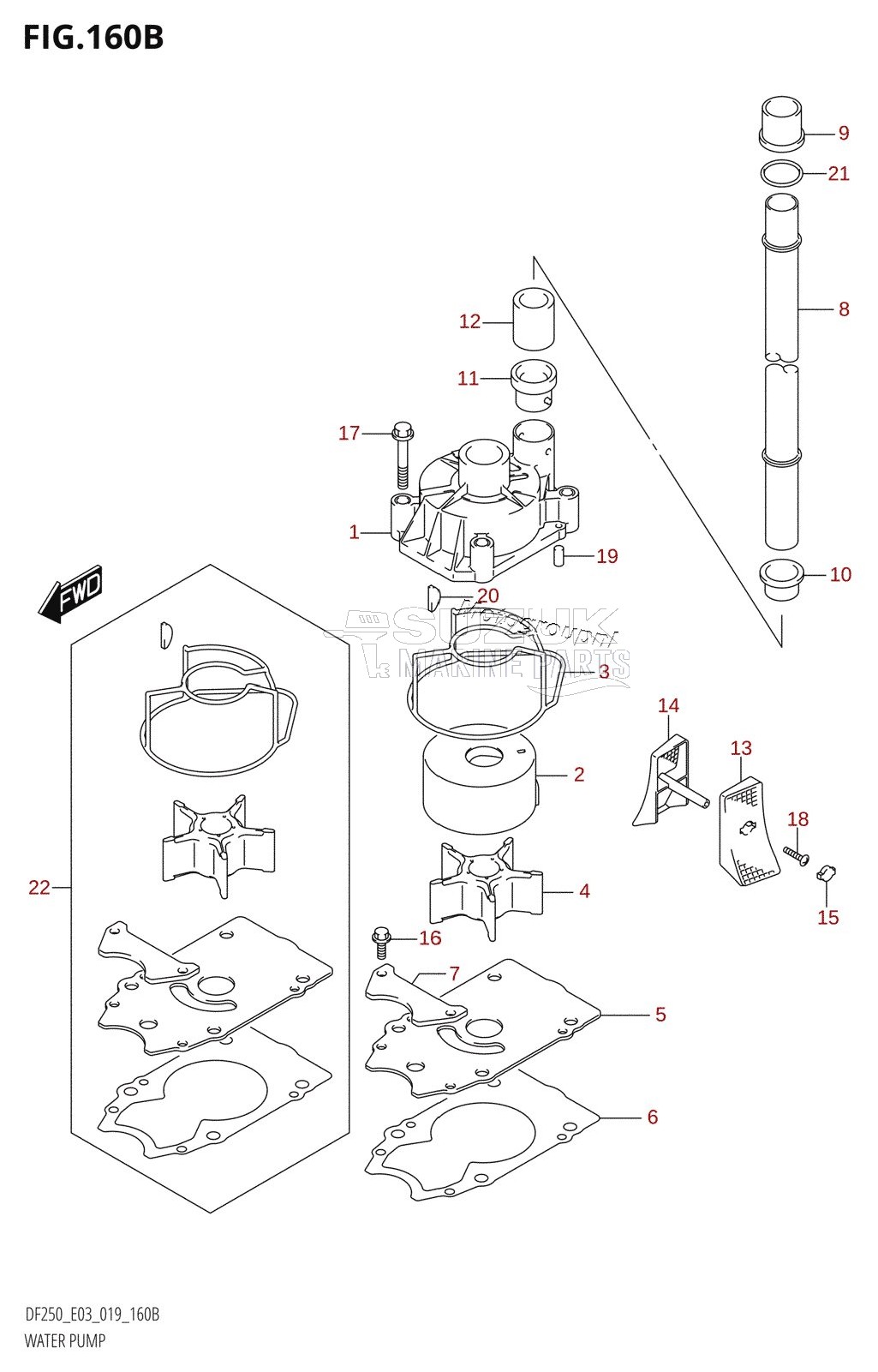 WATER PUMP (DF250ST)