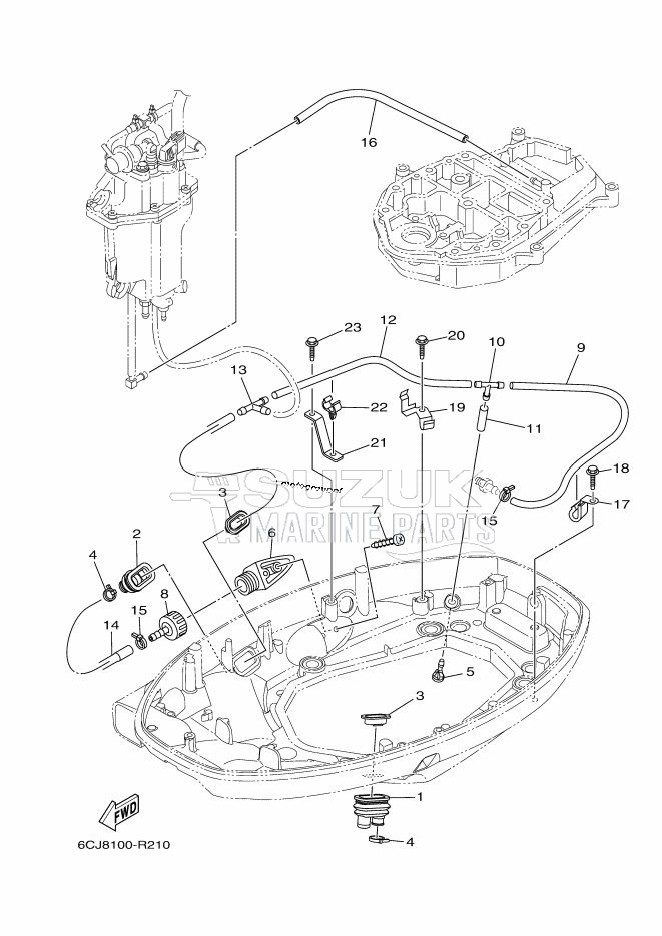 BOTTOM-COWLING-2