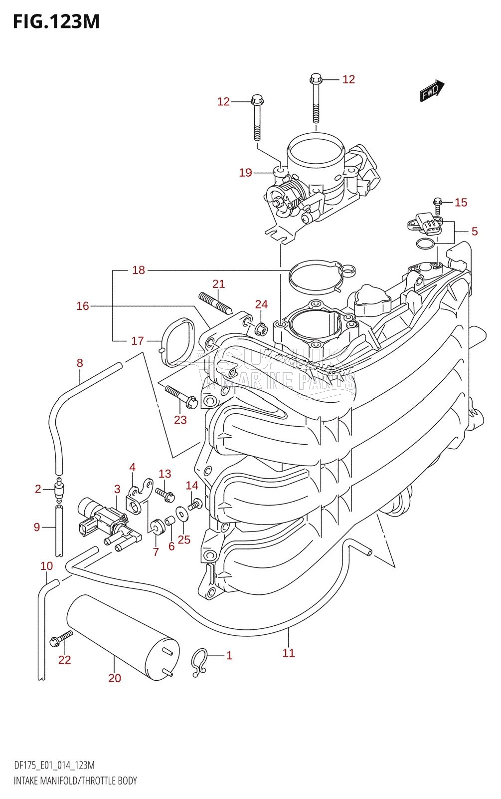 INTAKE MANIFOLD /​ THROTTLE BODY (DF175TG:E40)