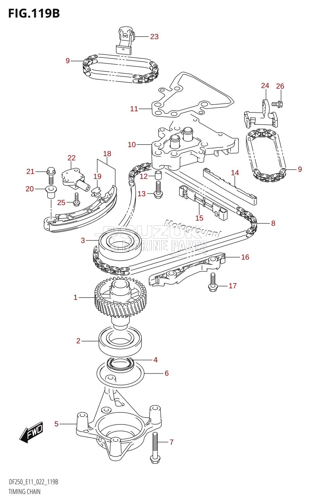 TIMING CHAIN (DF250ST)