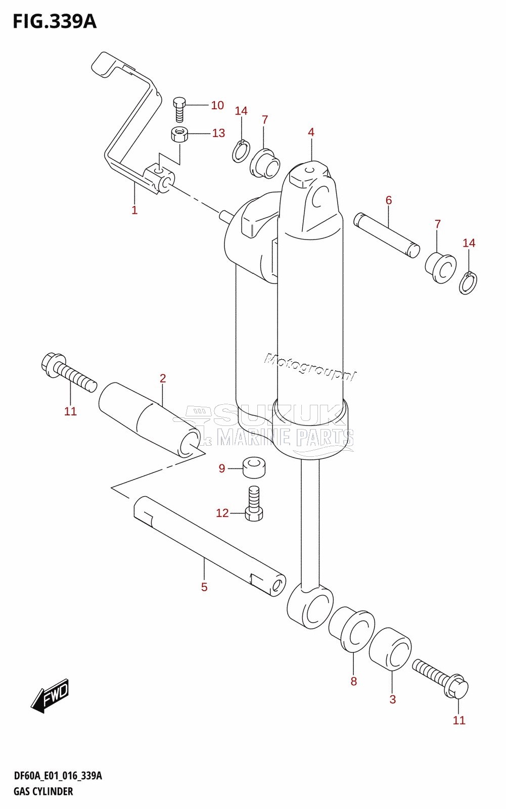 GAS CYLINDER (DF40AQH:E01)