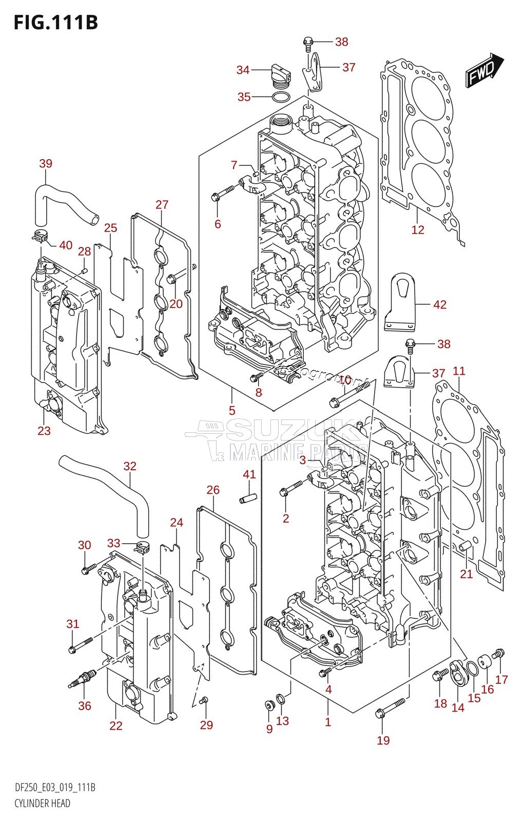 CYLINDER HEAD (DF250T,DF250Z)