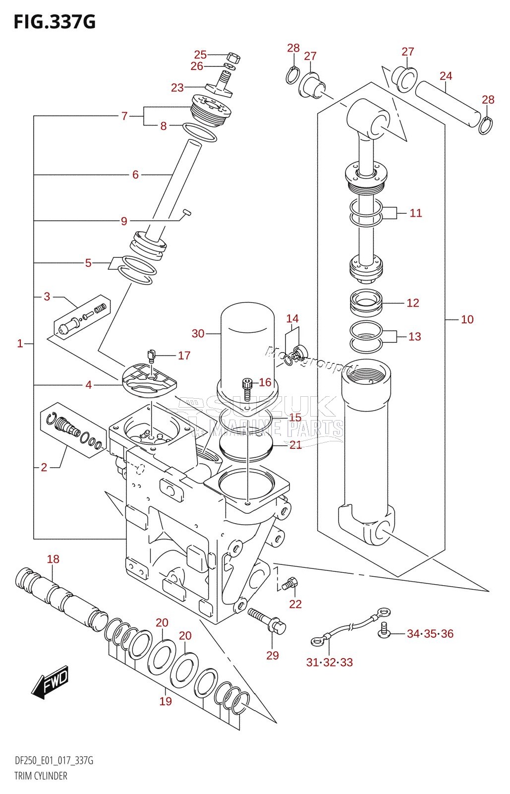 TRIM CYLINDER (DF225Z:E01:(X-TRANSOM,XX-TRANSOM))