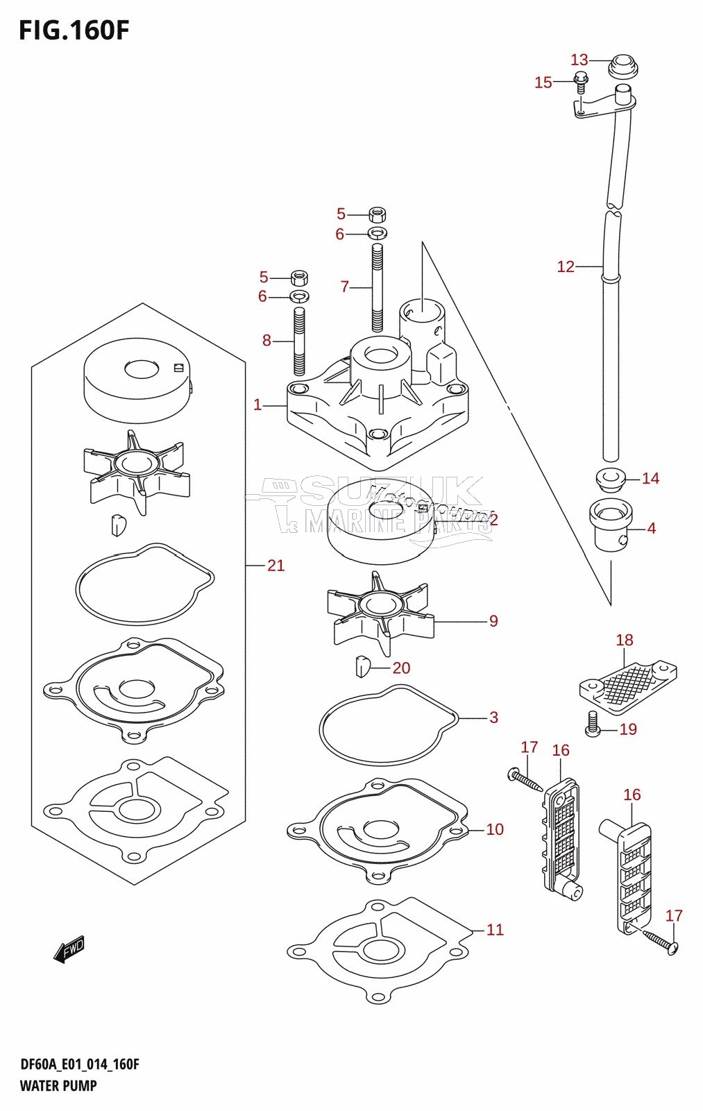 WATER PUMP (DF50ATH:E01)