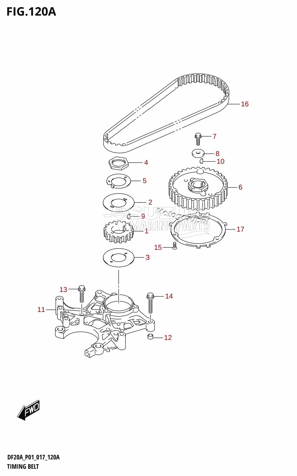 TIMING BELT