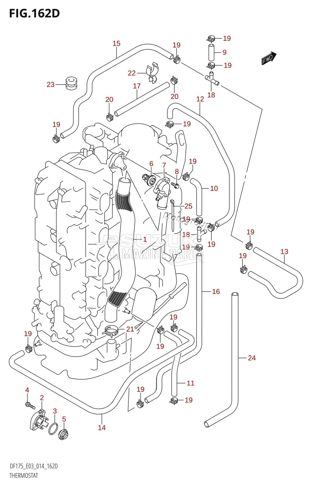 THERMOSTAT (DF150ZG:E03)