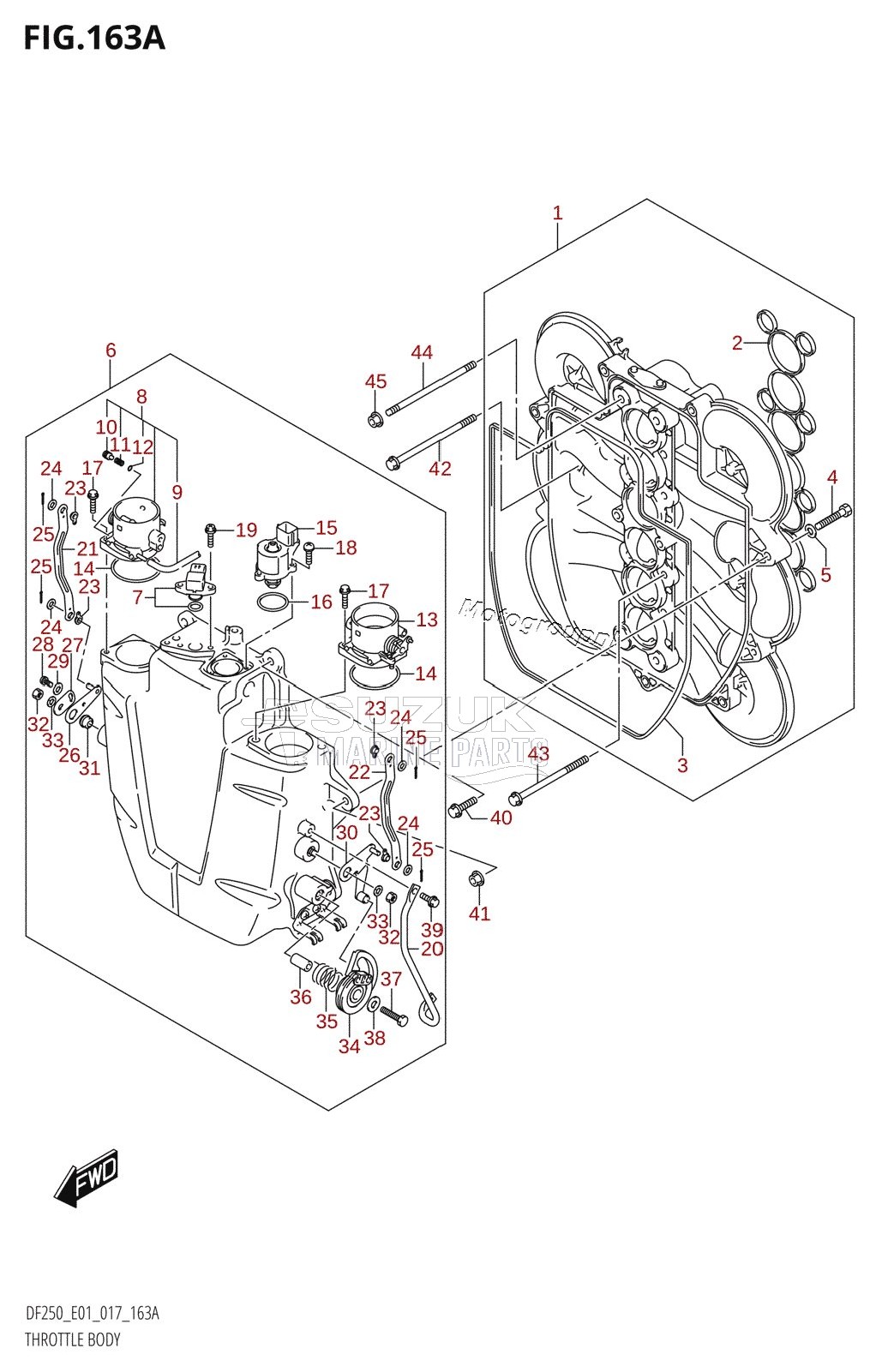 THROTTLE BODY (DF200T:E01)