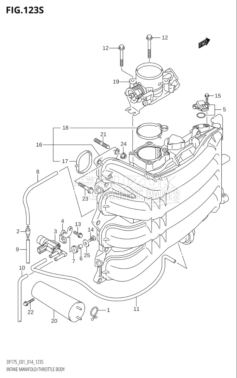 INTAKE MANIFOLD / THROTTLE BODY (DF175ZG:E40)