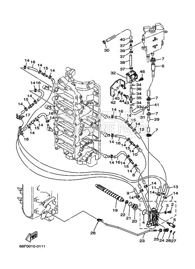 OIL-PUMP