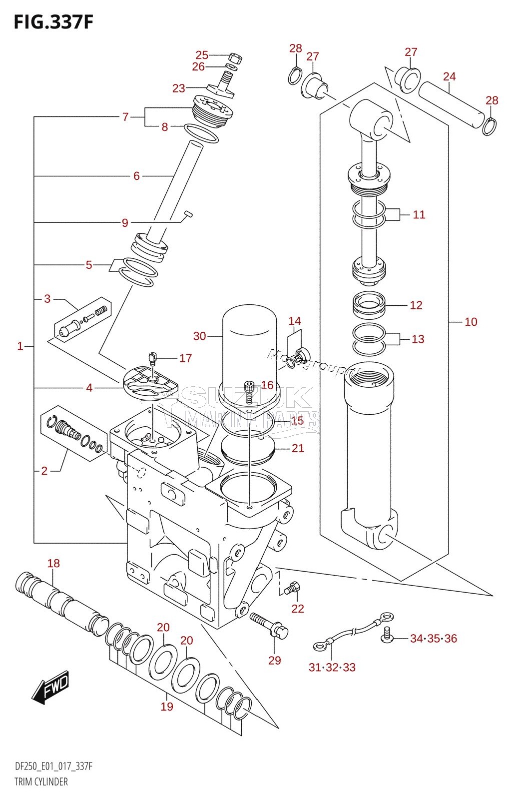 TRIM CYLINDER (DF225T:E40:(X-TRANSOM,XX-TRANSOM))