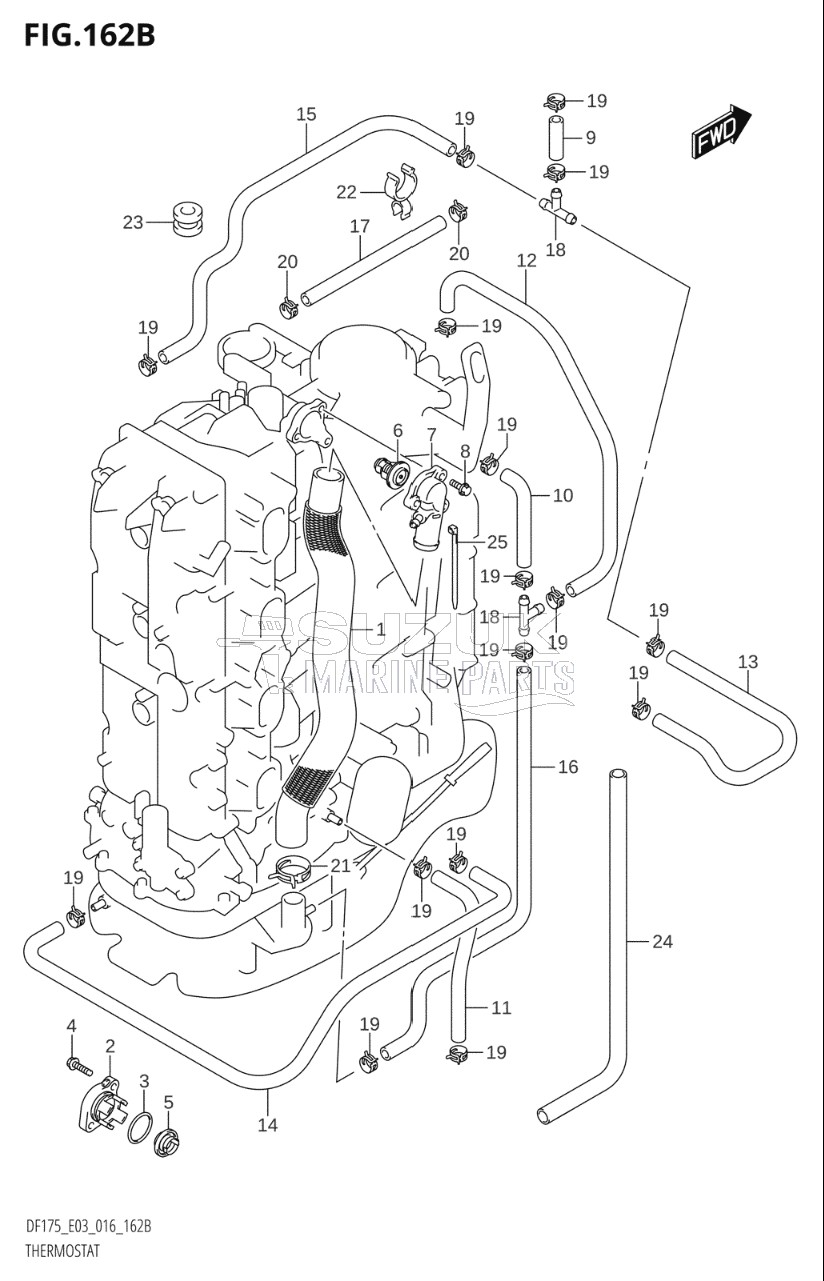 THERMOSTAT (DF150TG:E03)