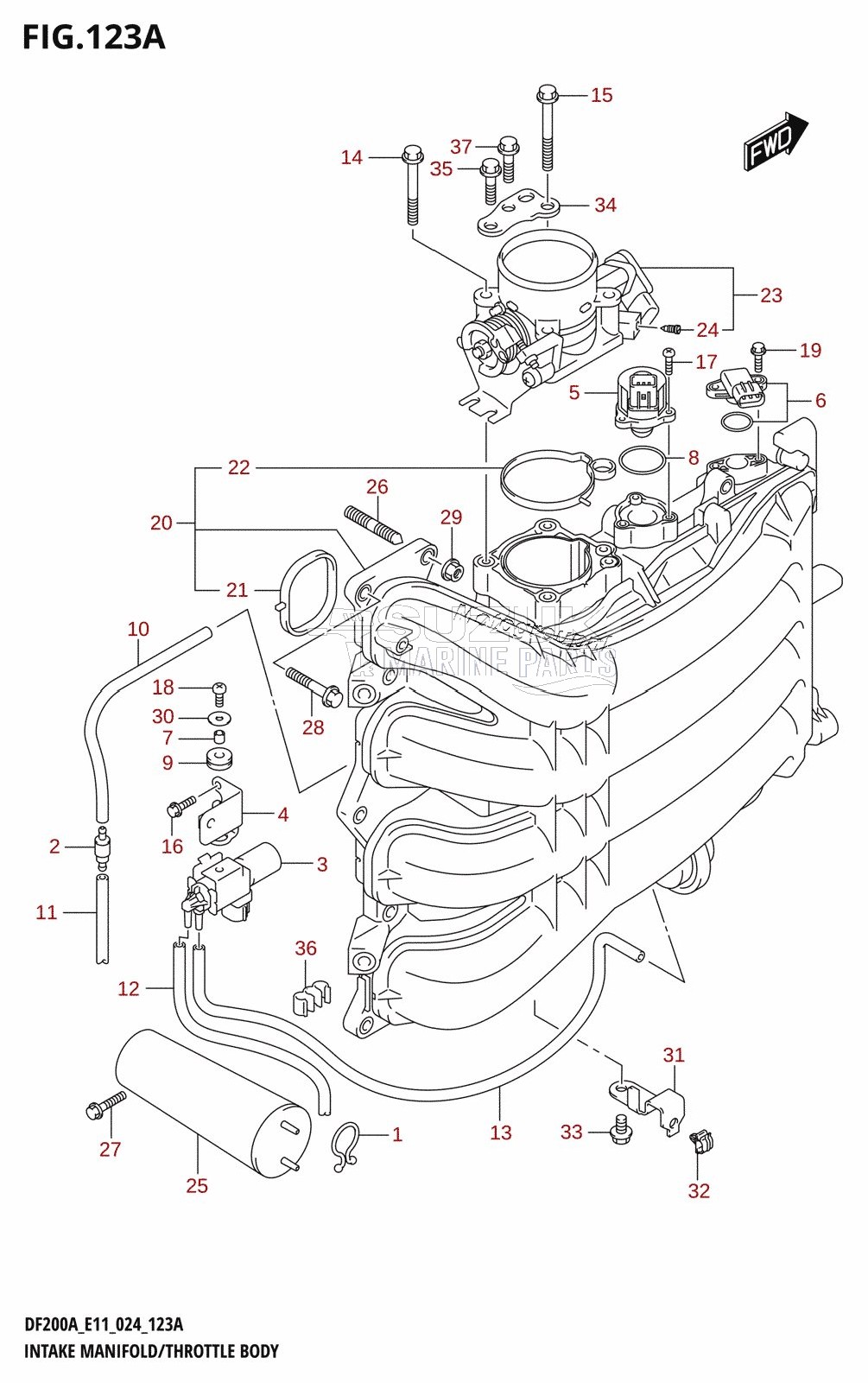 INTAKE MANIFOLD /​ THROTTLE BODY