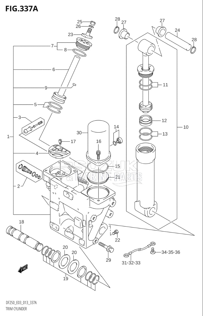 TRIM CYLINDER (DF200T:E03:X-TRANSOM)