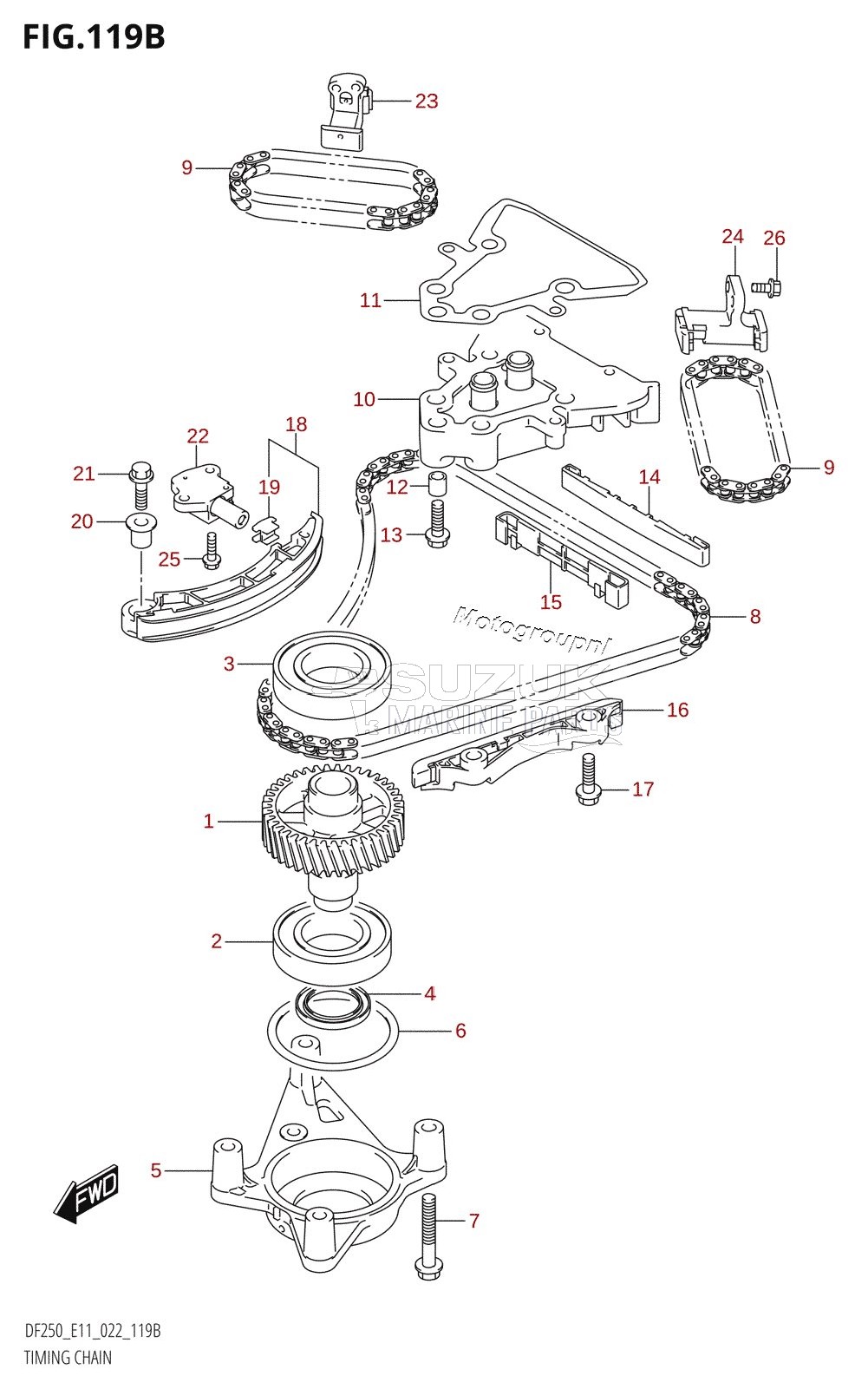 TIMING CHAIN (DF250ST)