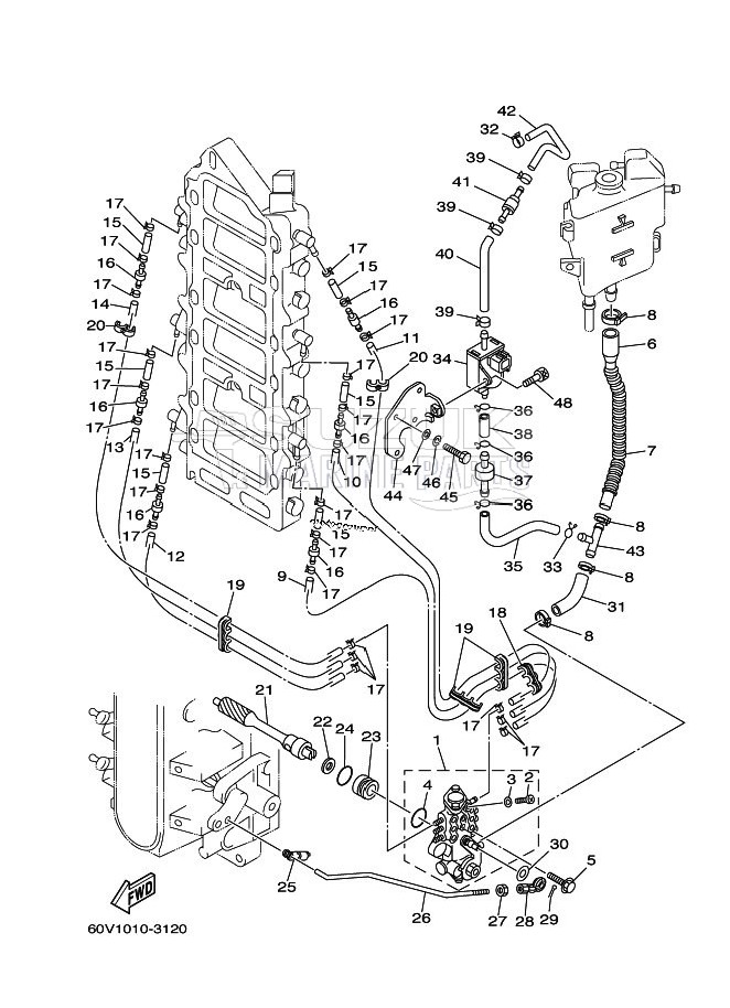 OIL-PUMP