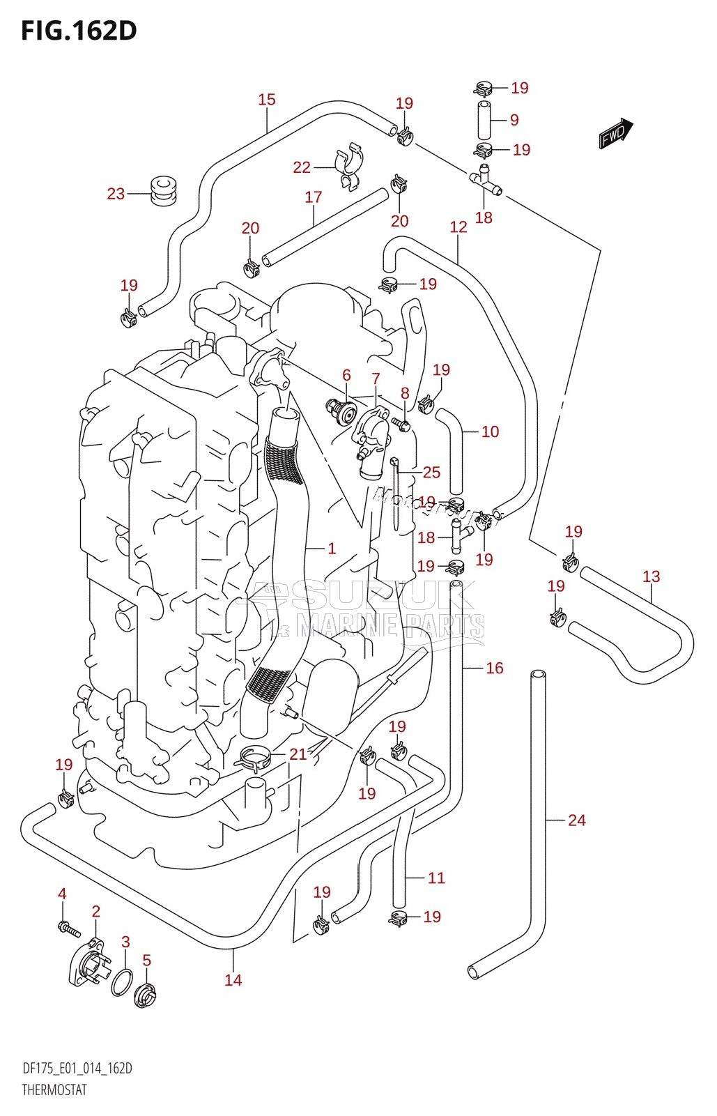 THERMOSTAT (DF150TG:E40)