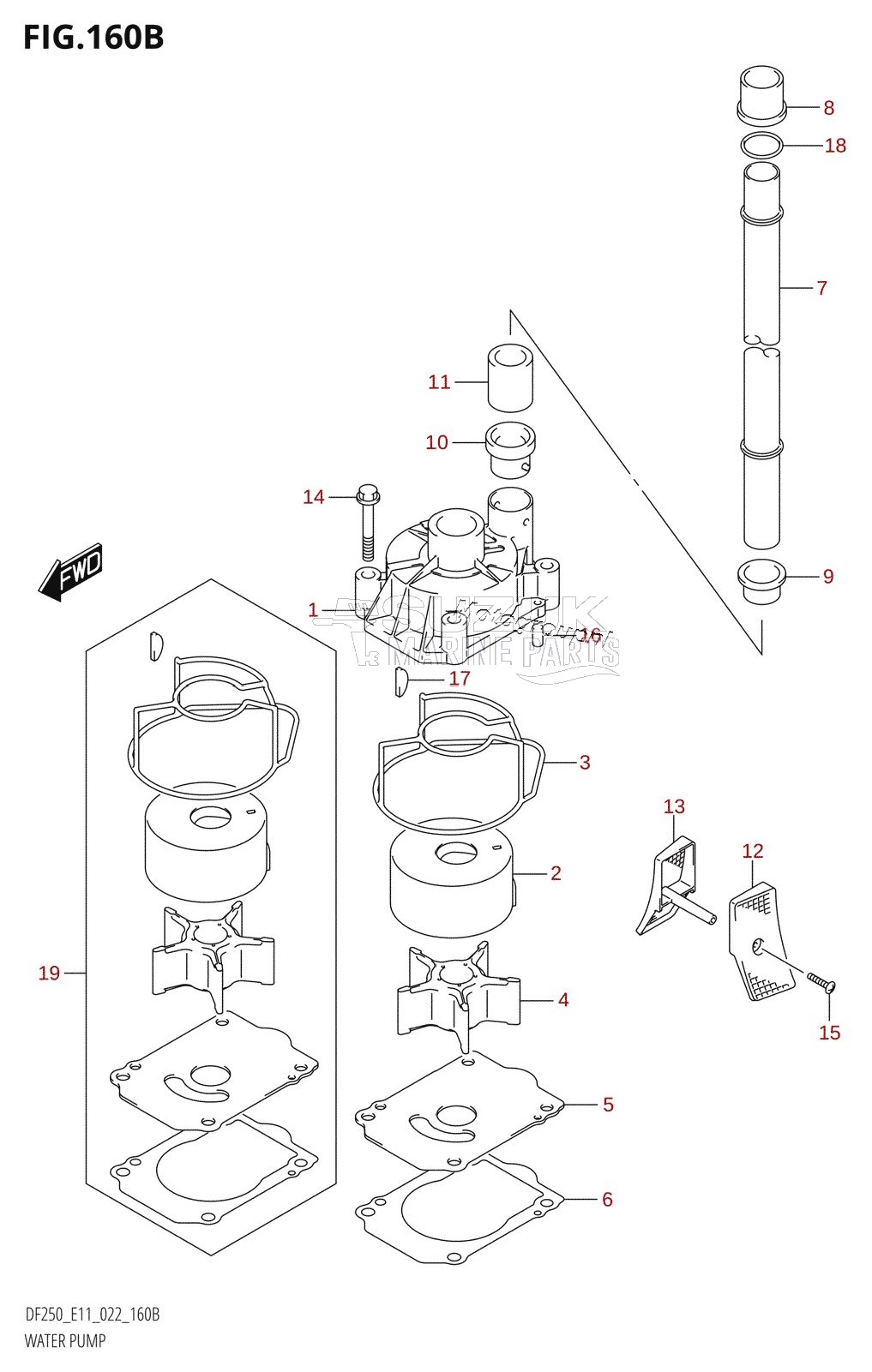 WATER PUMP (E03:(DF225T,DF225Z,DF250T,DF250Z))