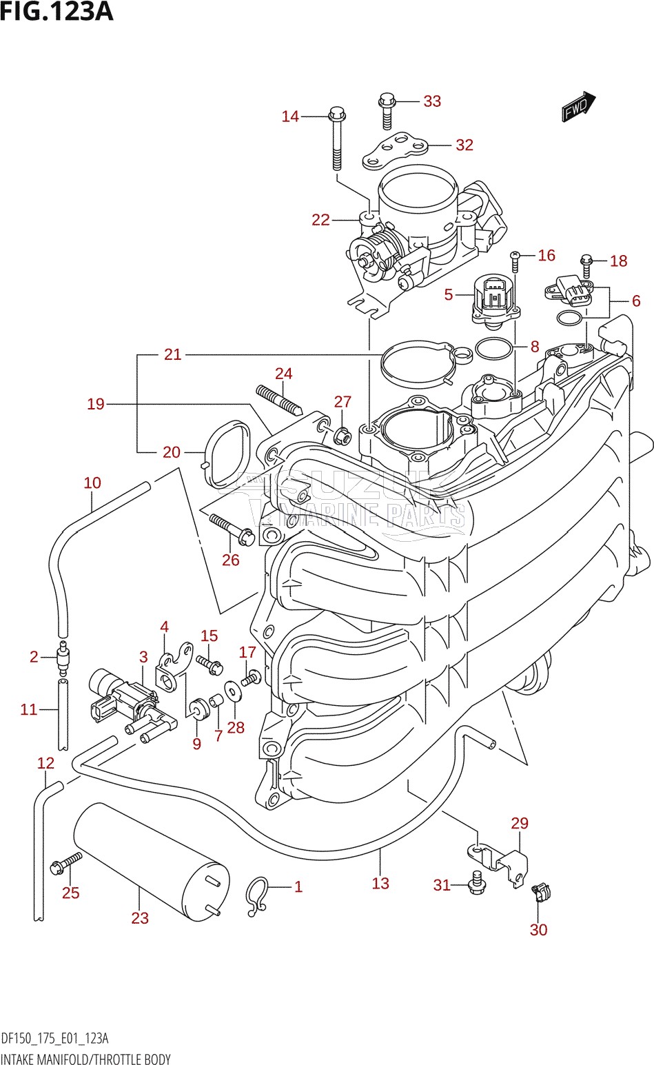 INTAKE MANIFOLD / THROTTLE BODY