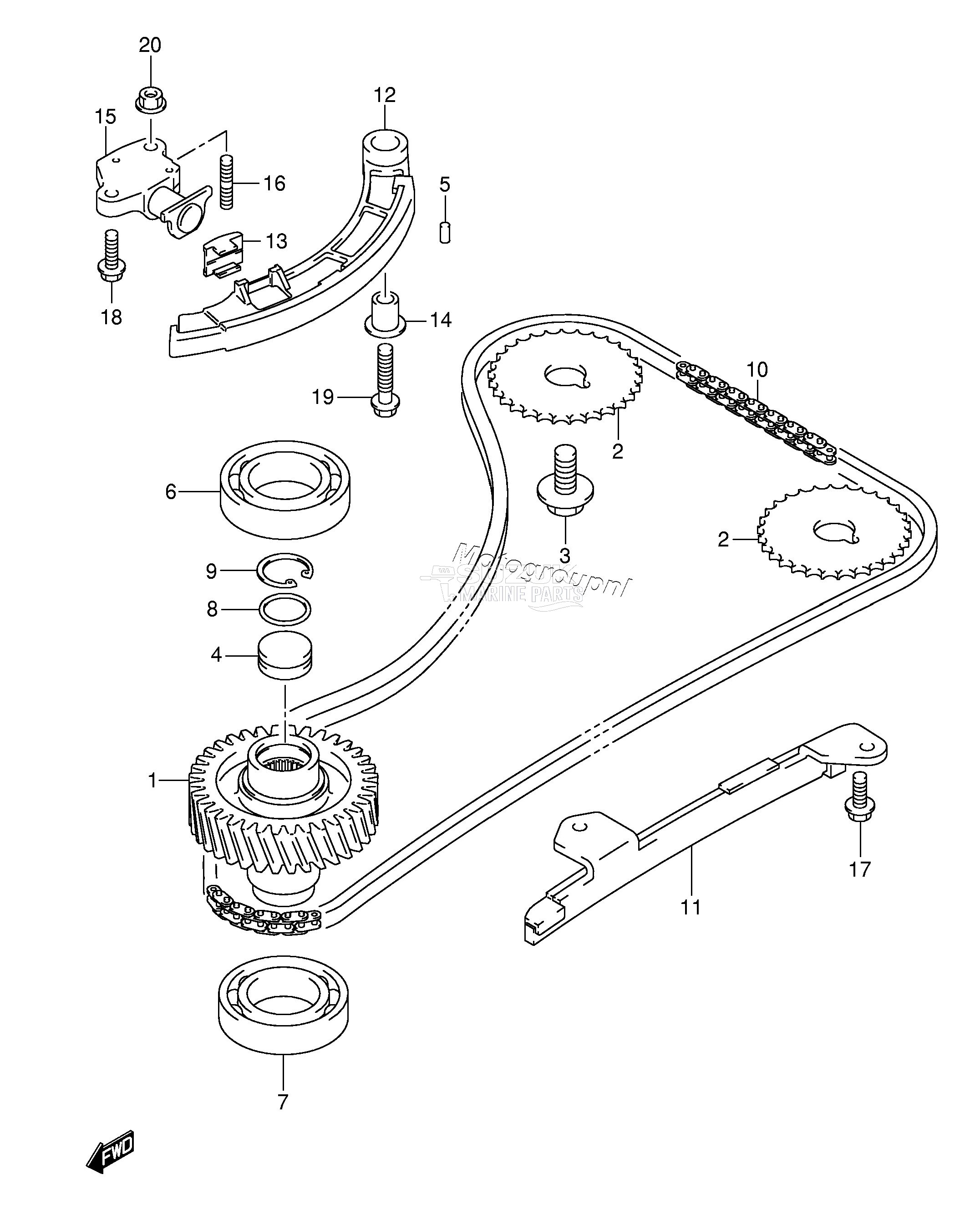 TIMING CHAIN