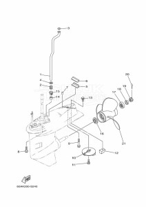 F50DET drawing PROPELLER-HOUSING-AND-TRANSMISSION-2