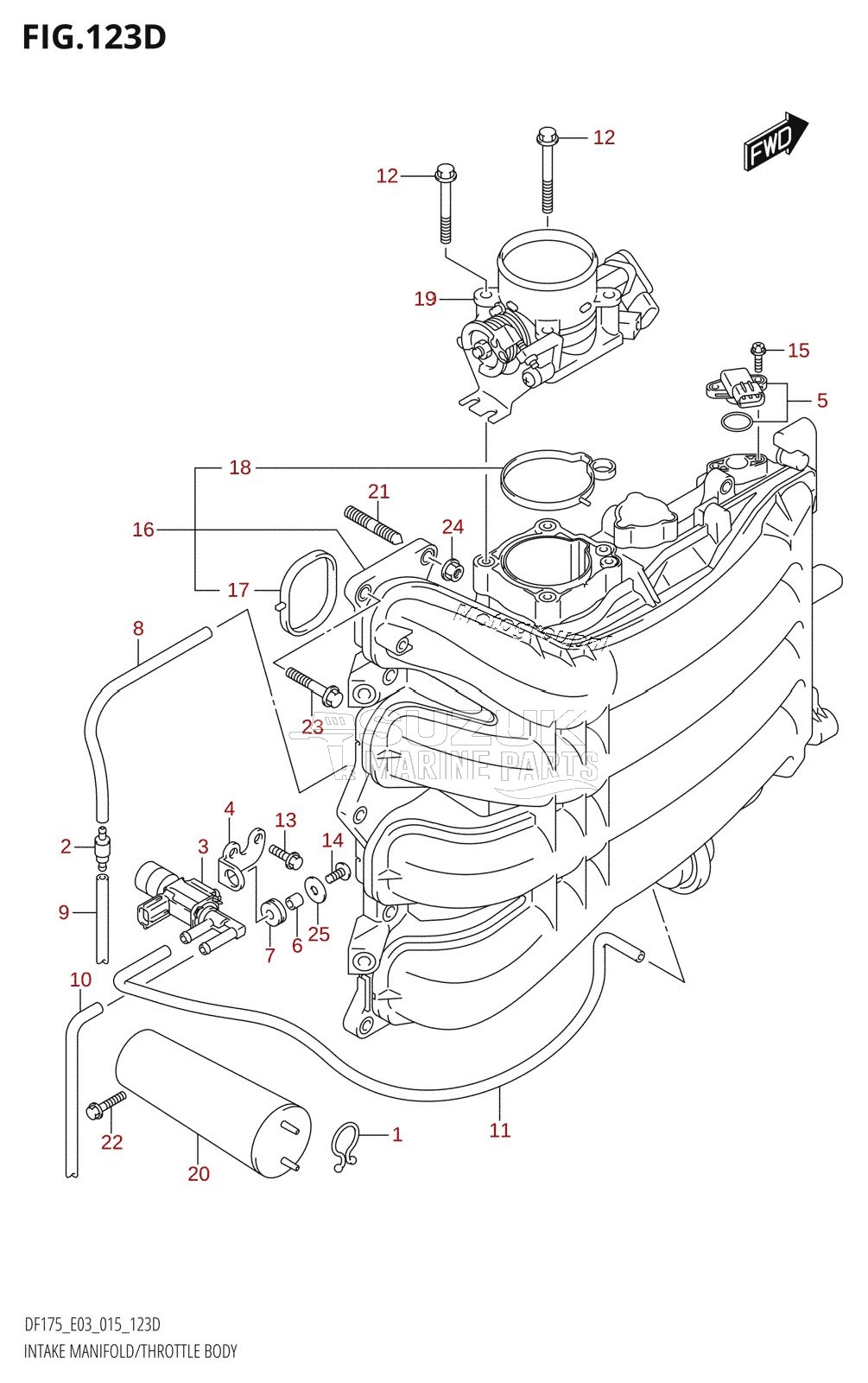 INTAKE MANIFOLD /​ THROTTLE BODY (DF150ZG:E03)