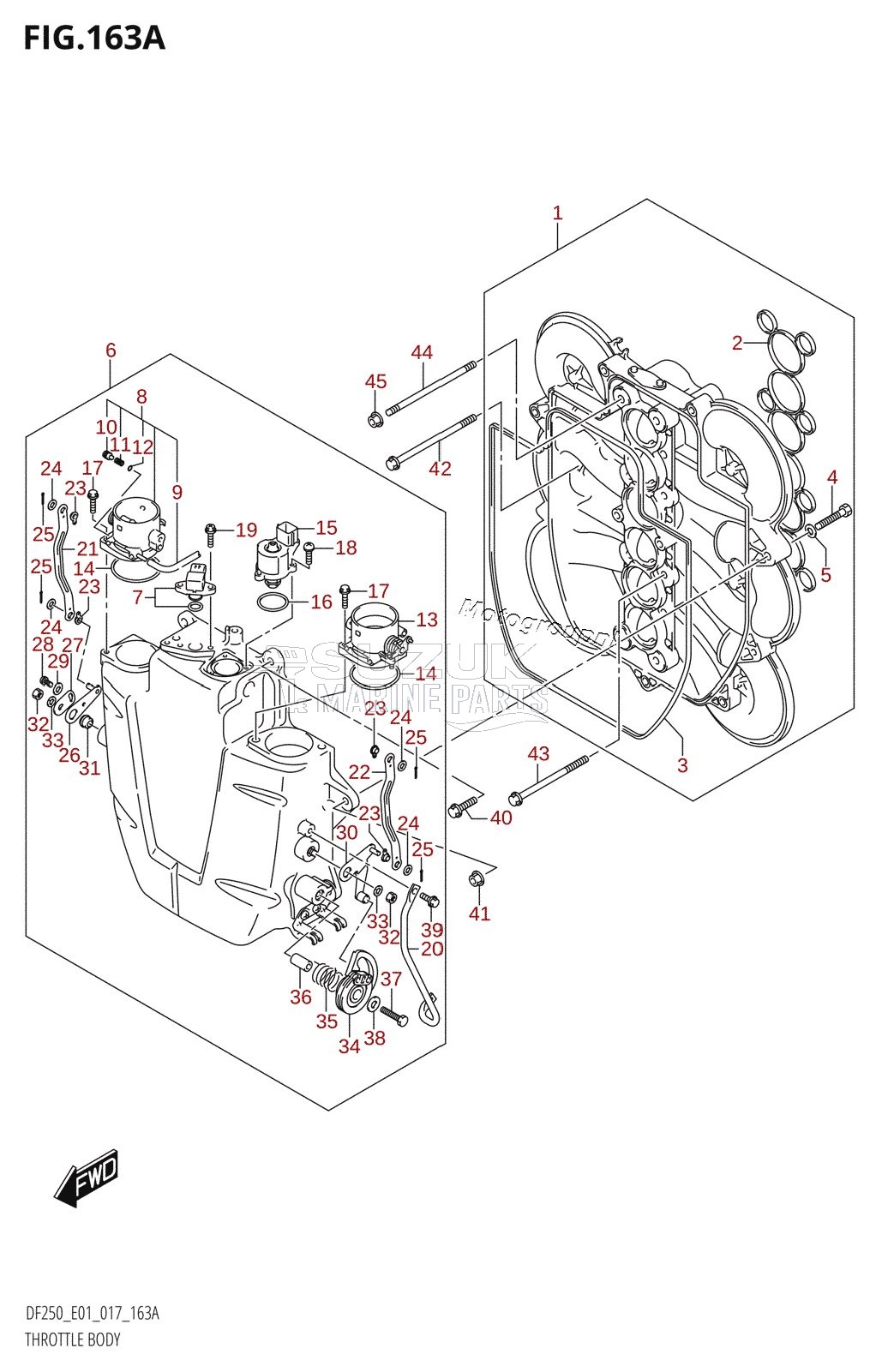 THROTTLE BODY (DF200T:E01)