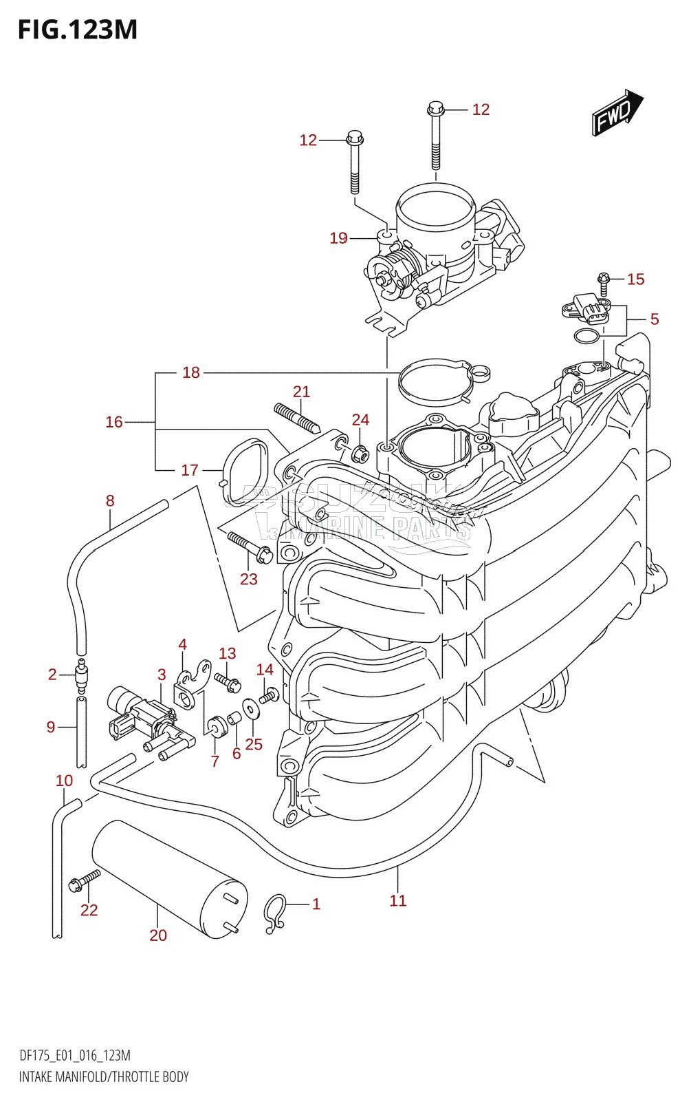 INTAKE MANIFOLD /​ THROTTLE BODY (DF175TG:E40)