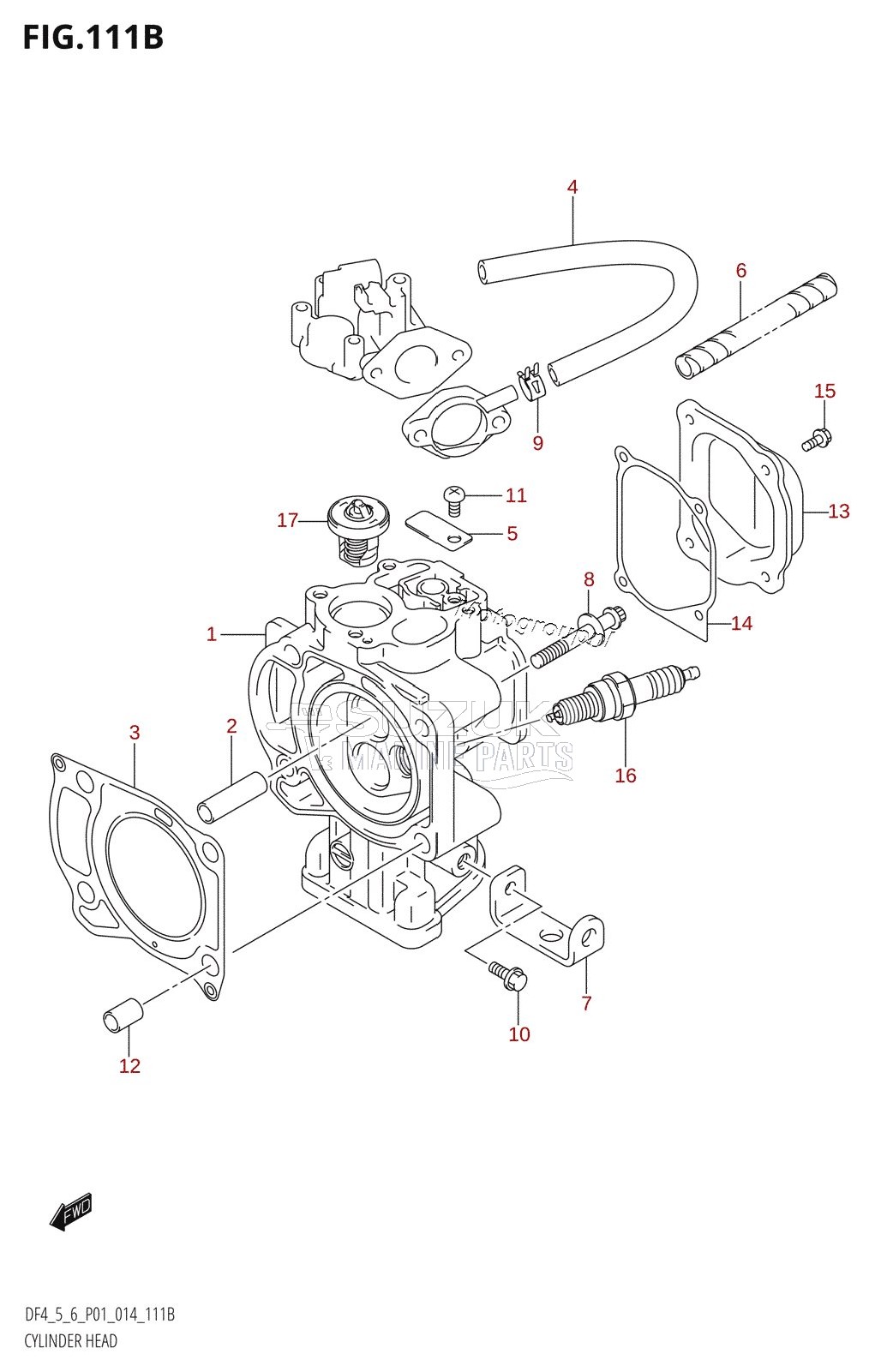 CYLINDER HEAD (DF5:P01)