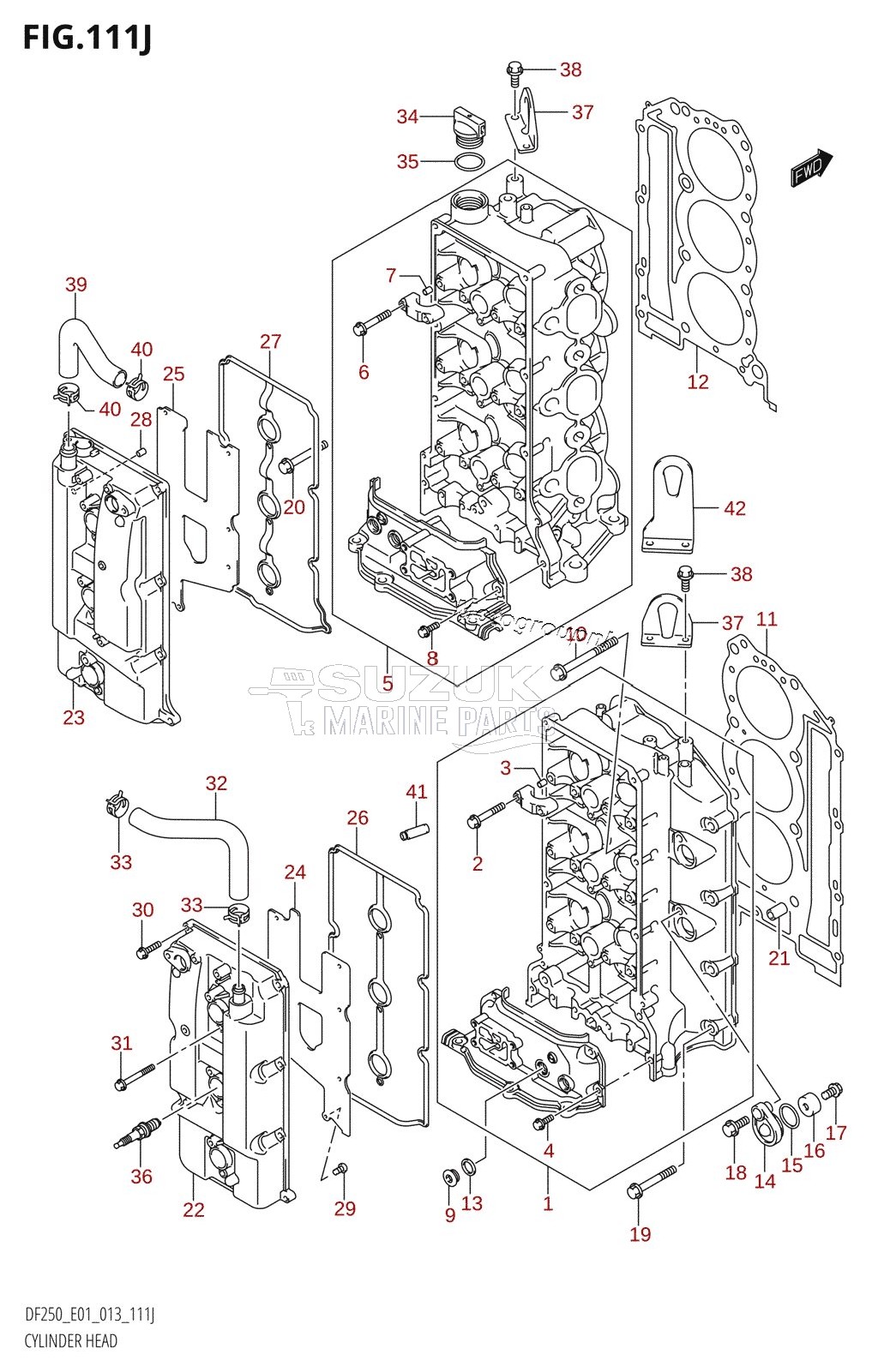 CYLINDER HEAD (DF250T:E01)