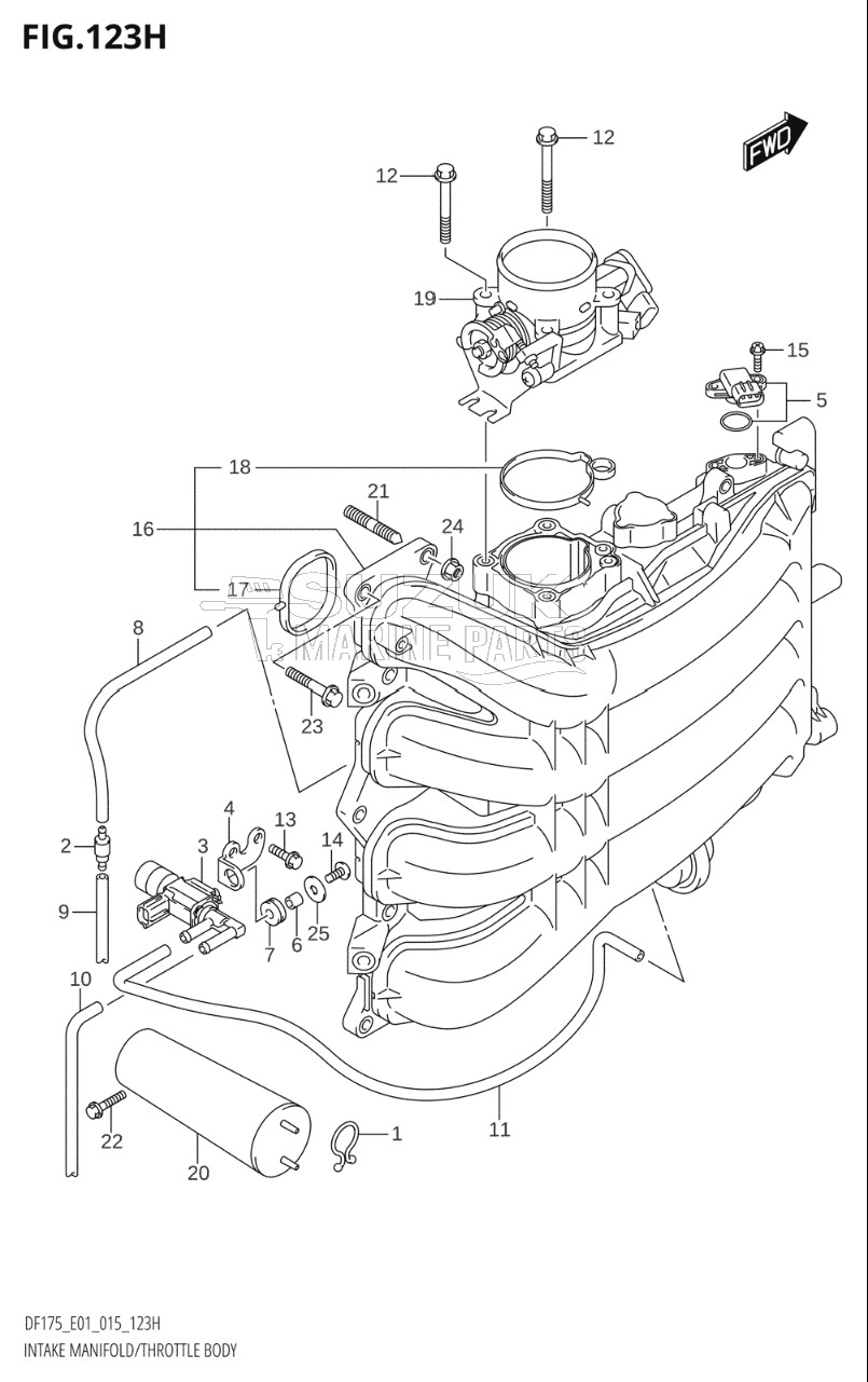 INTAKE MANIFOLD / THROTTLE BODY (DF150ZG:E40)