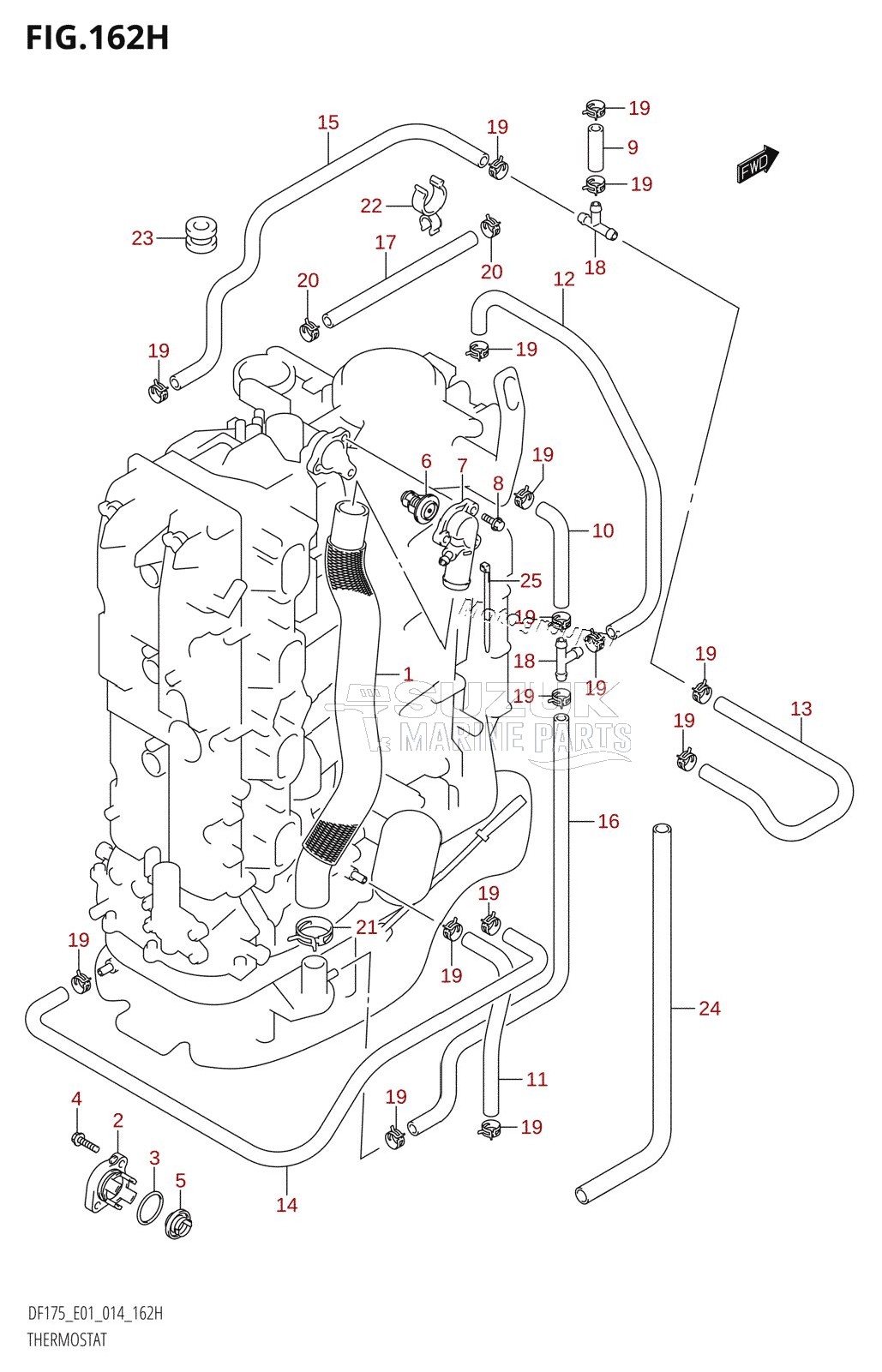 THERMOSTAT (DF150ZG:E40)