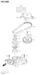 00801F-710001 (2017) 8hp P01-Gen. Export 1 (DF8A  DF8AR) DF8A drawing TIMING BELT (DF8AR:P01)