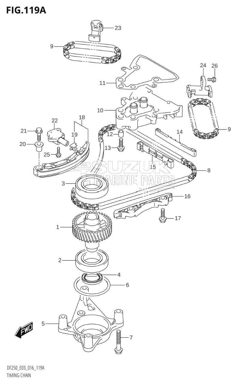 TIMING CHAIN (DF200T:E03)