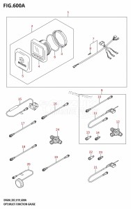 DF50A From 05004F-910001 (E03)  2019 drawing OPT:MULTI FUNCTION GAUGE