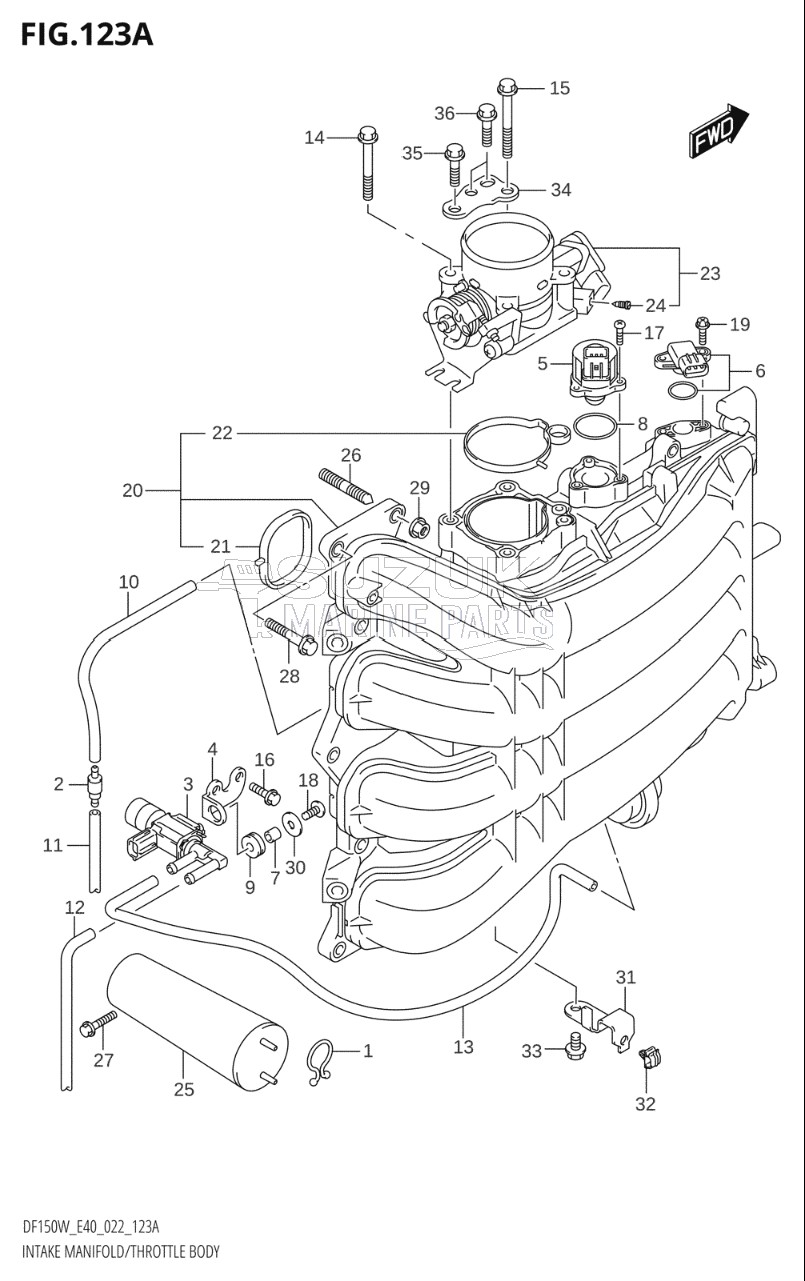 INTAKE MANIFOLD / THROTTLE BODY