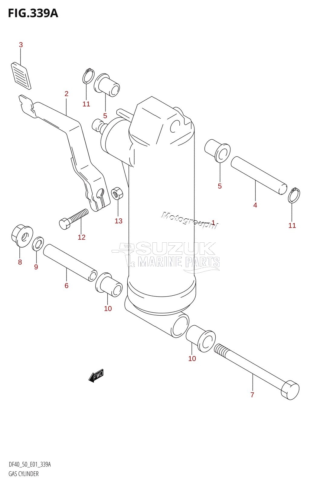 GAS CYLINDER ((DF40QH,DF50QH):(X,Y))