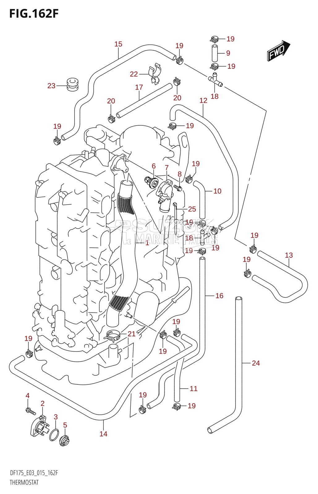 THERMOSTAT (DF175TG:E03)