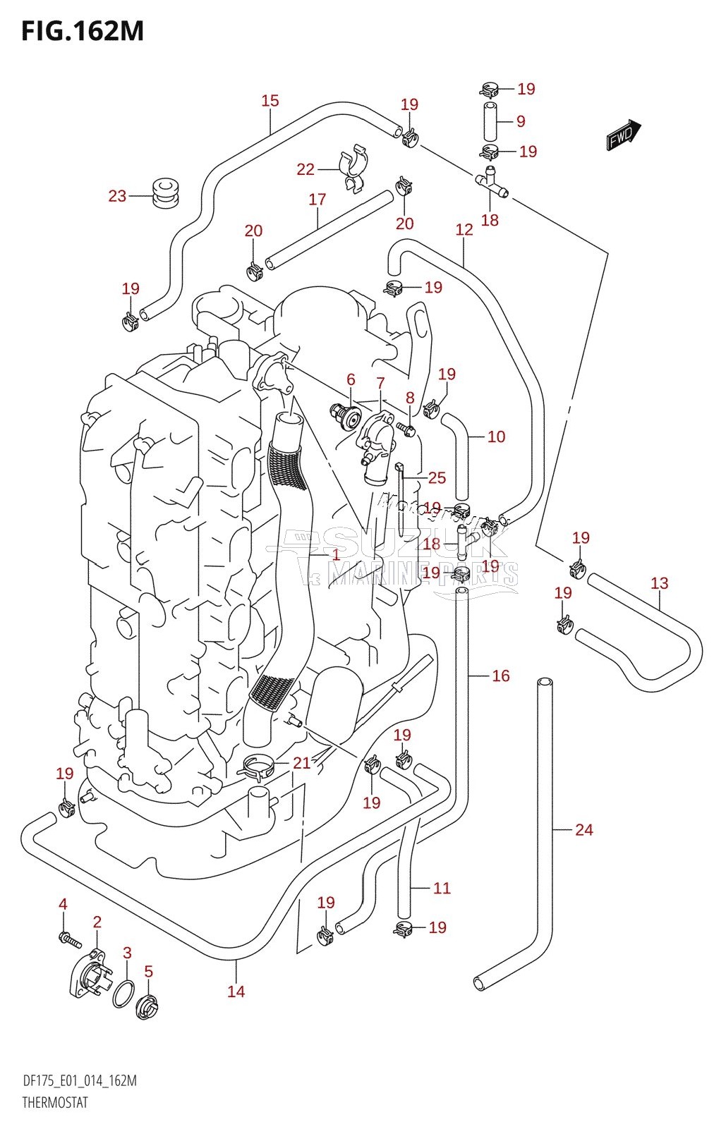 THERMOSTAT (DF175TG:E40)