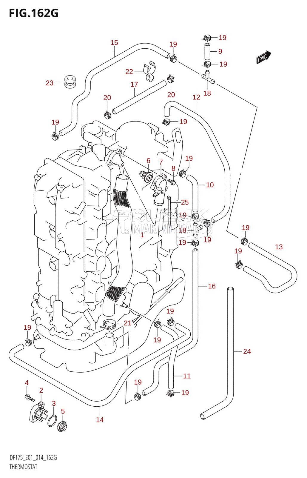 THERMOSTAT (DF150ZG:E01)