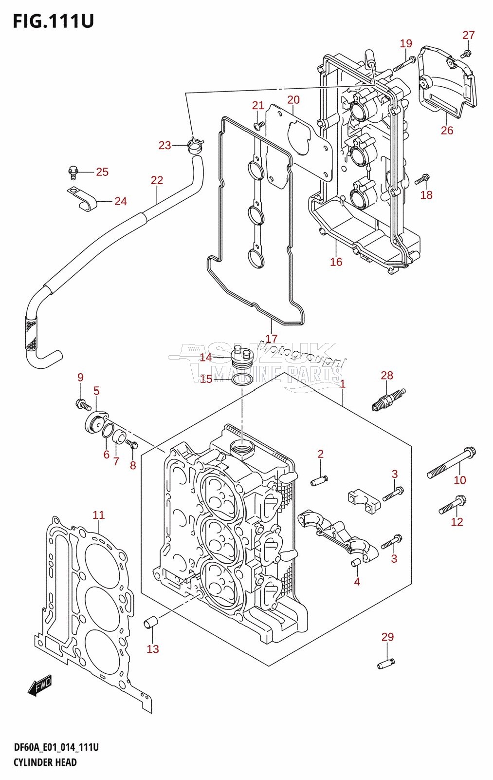 CYLINDER HEAD (DF60AVTH:E40)