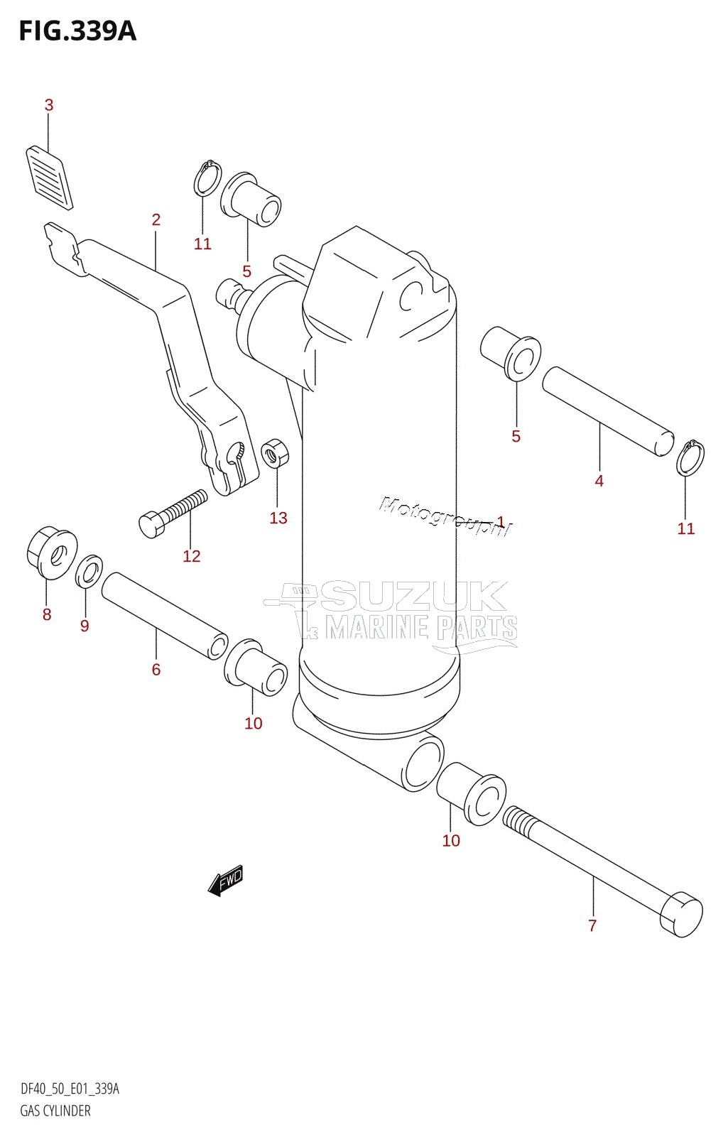 GAS CYLINDER ((DF40QH,DF50QH):(X,Y))