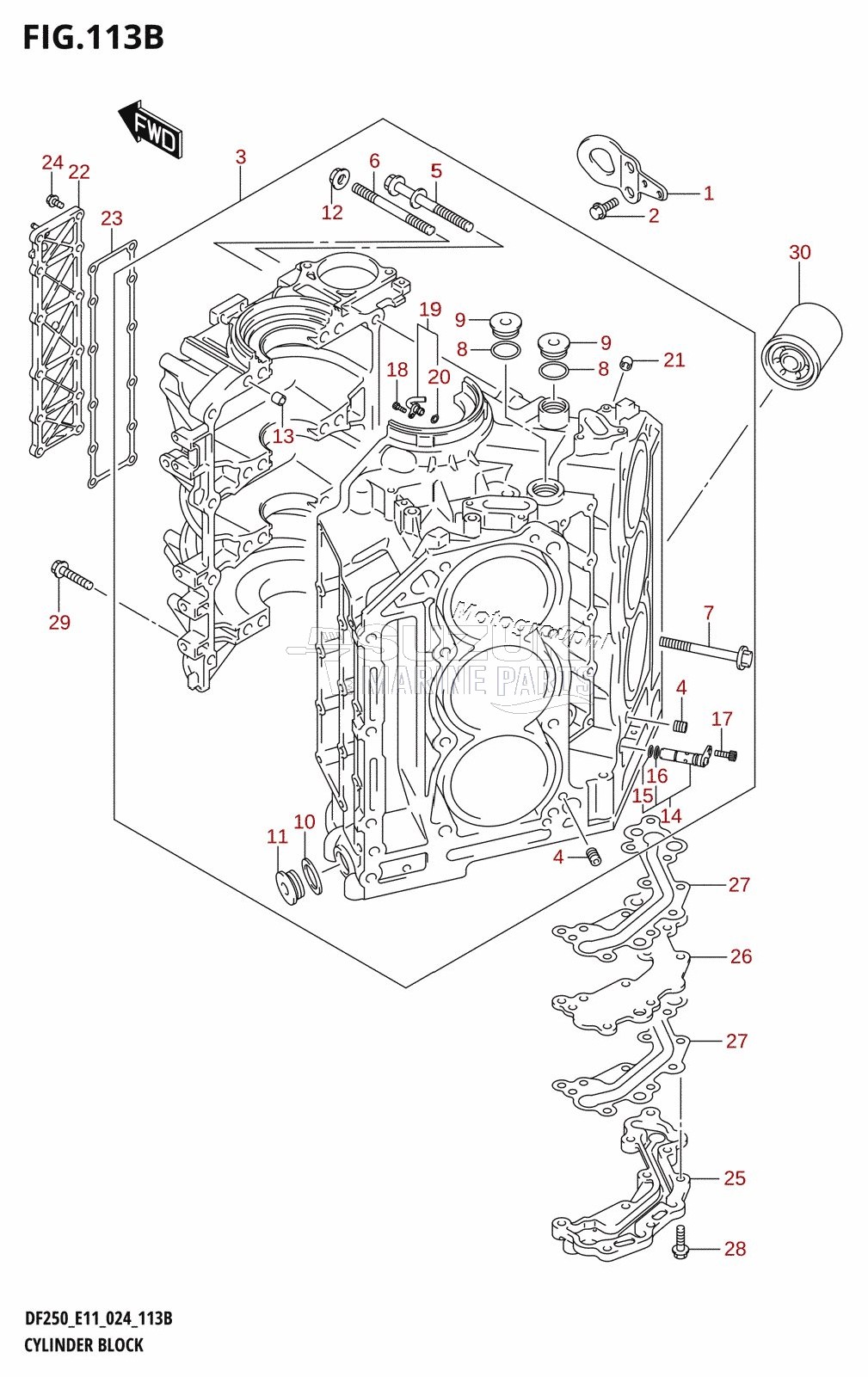 CYLINDER BLOCK (DF250ST)