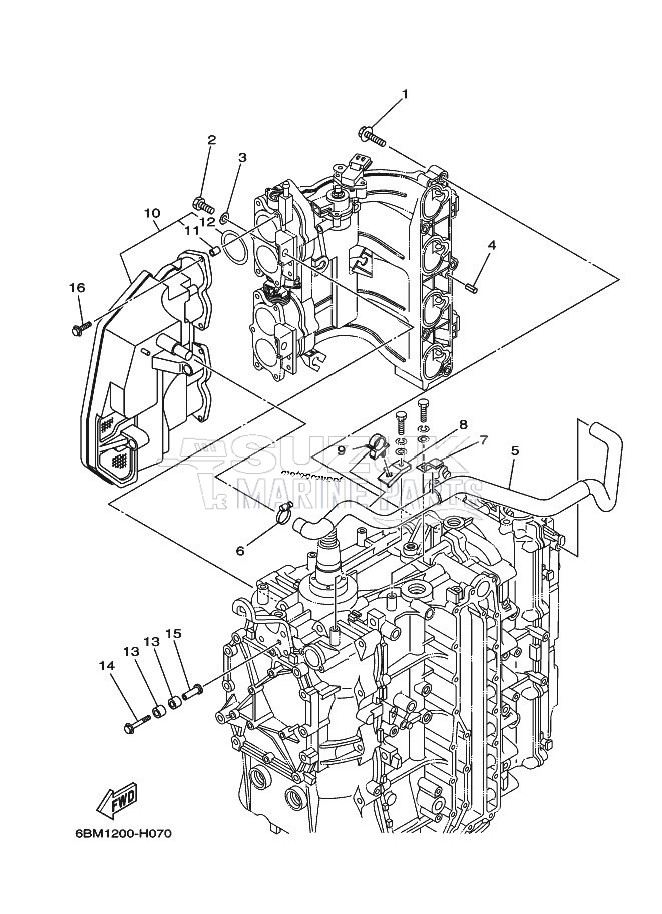 INTAKE-1