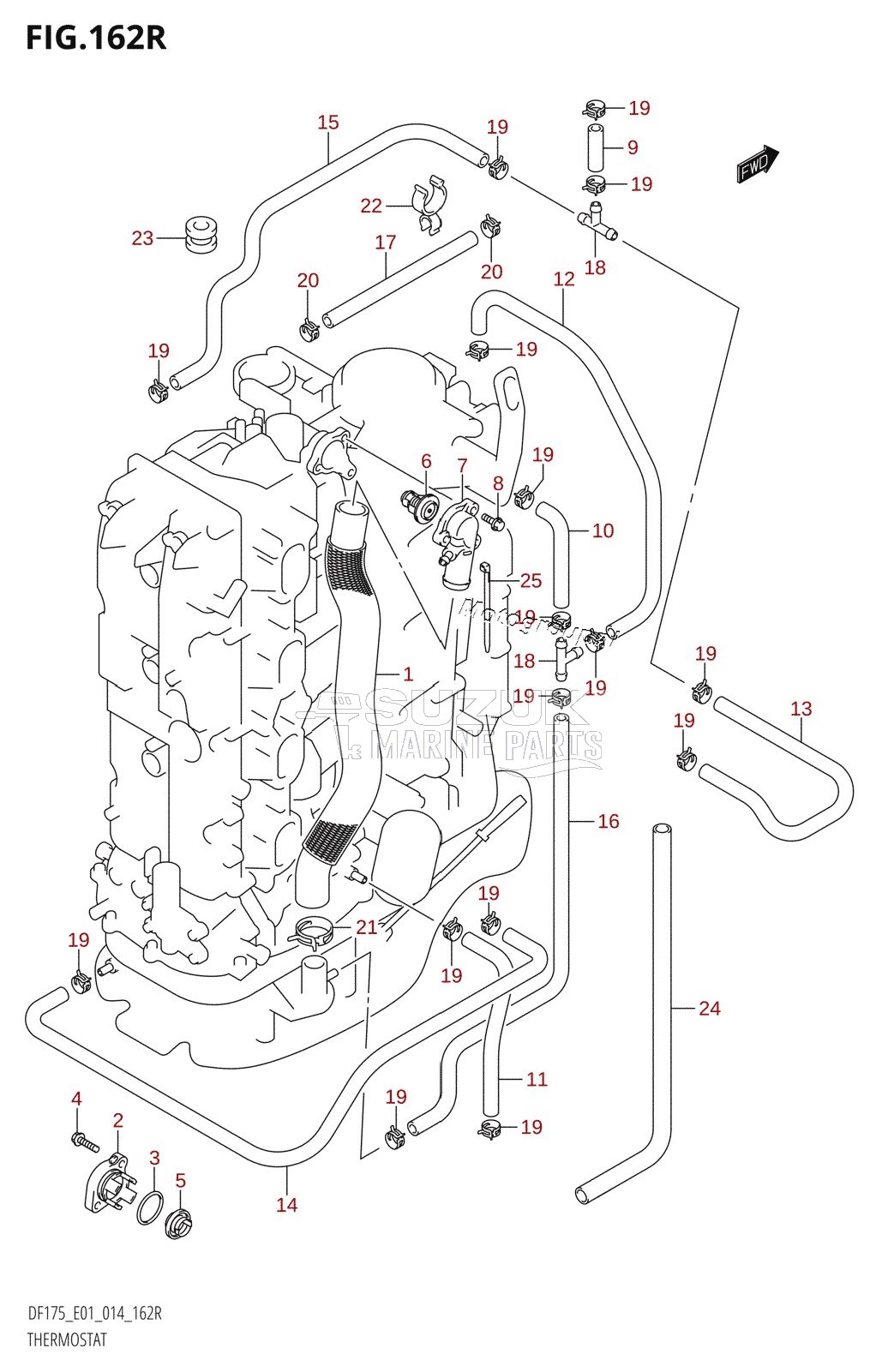 THERMOSTAT (DF175ZG:E01)