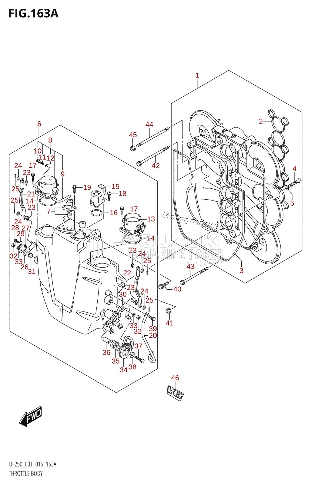 THROTTLE BODY (DF200T:E01)