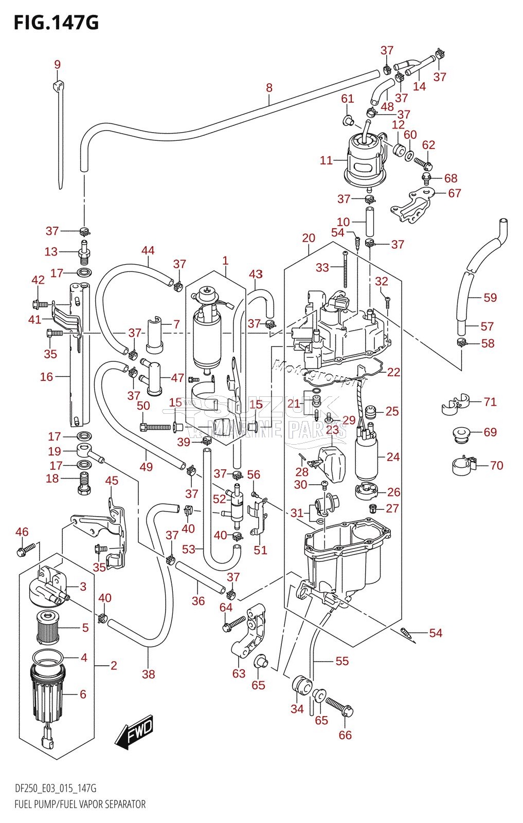 FUEL PUMP /​ FUEL VAPOR SEPARATOR (DF250ST:E03)