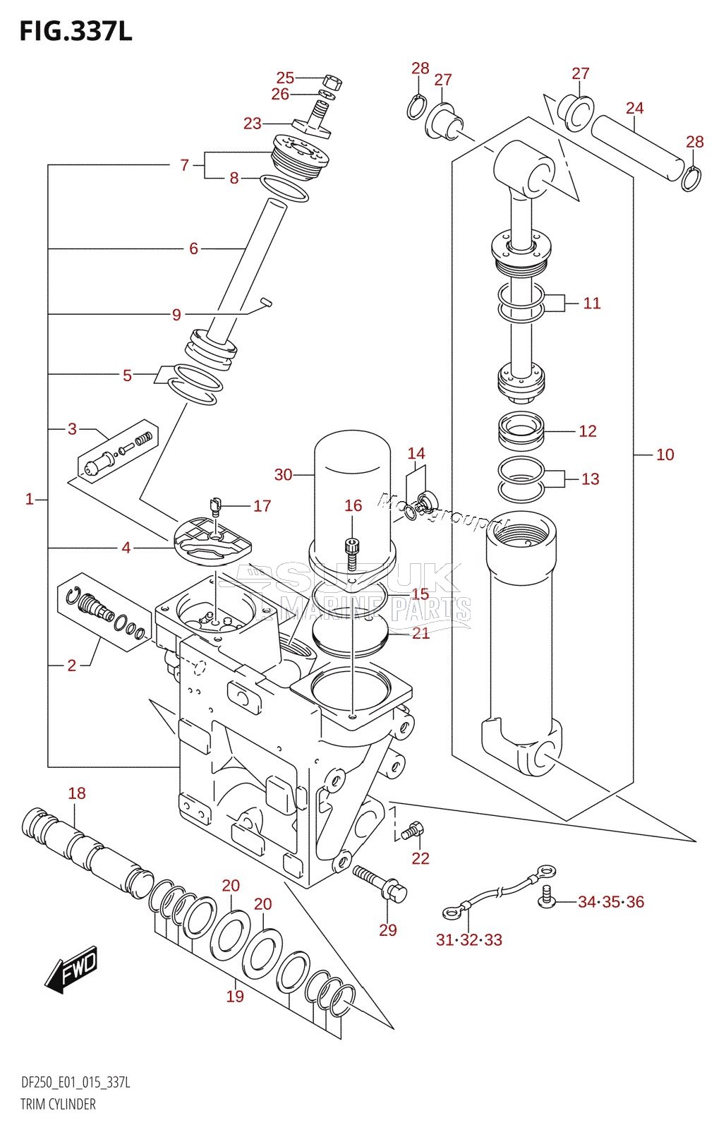 TRIM CYLINDER (DF250Z:E01:(X-TRANSOM,XX-TRANSOM))