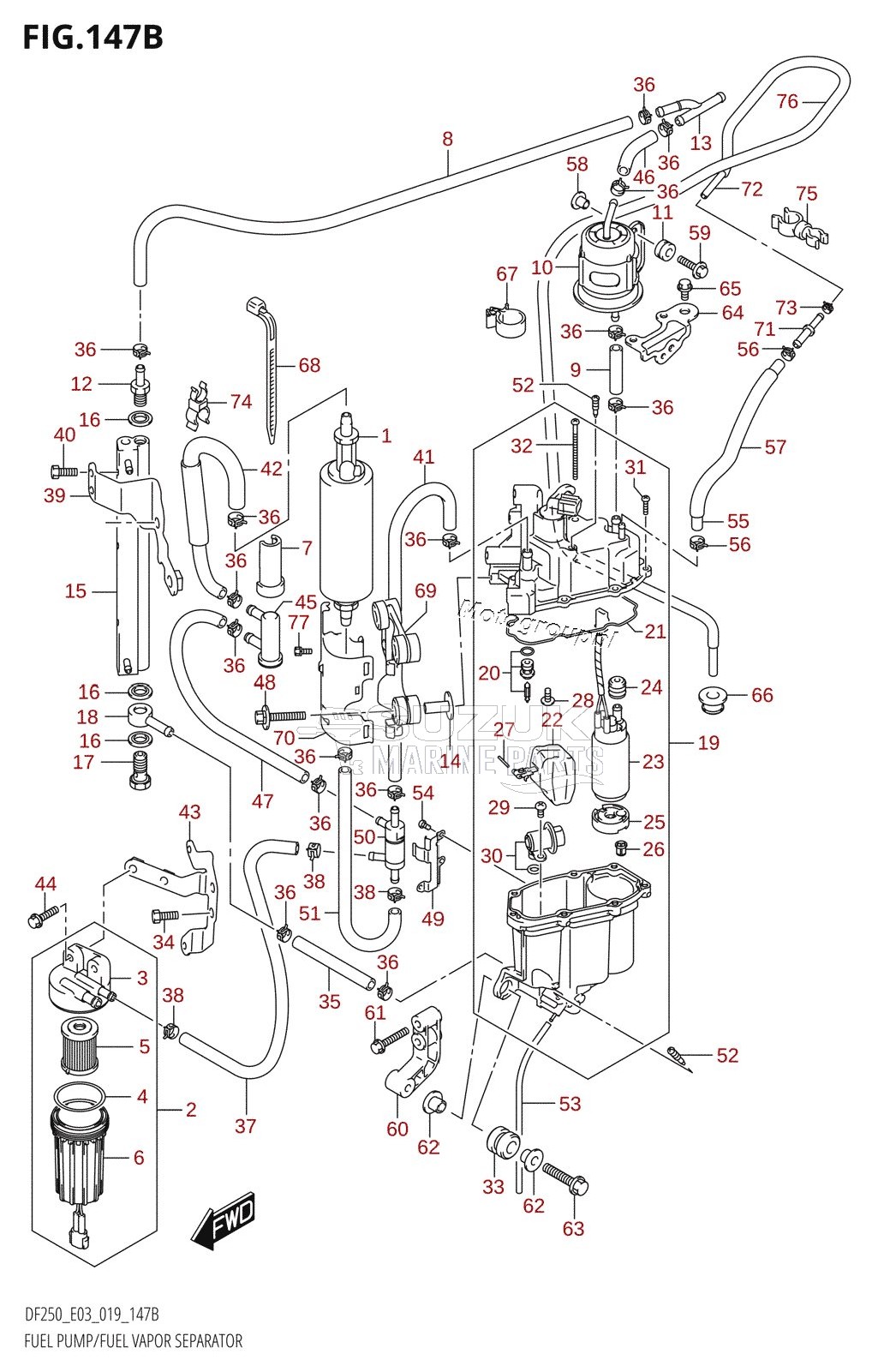 FUEL PUMP /​ FUEL VAPOR SEPARATOR (DF250ST)